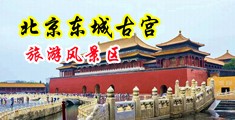 夜夜操骚屄中国北京-东城古宫旅游风景区